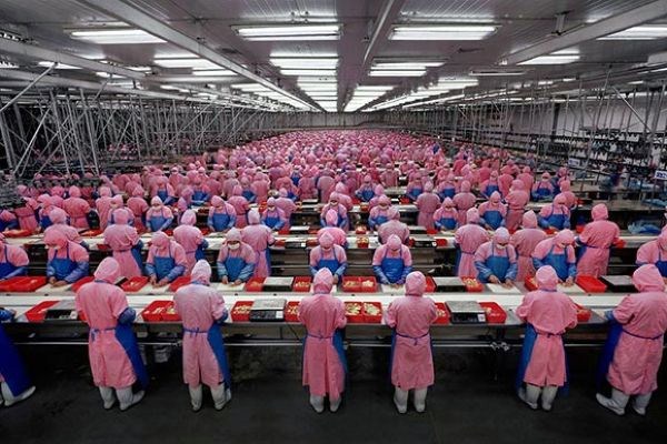 manufacturing-assembly-line-in-china